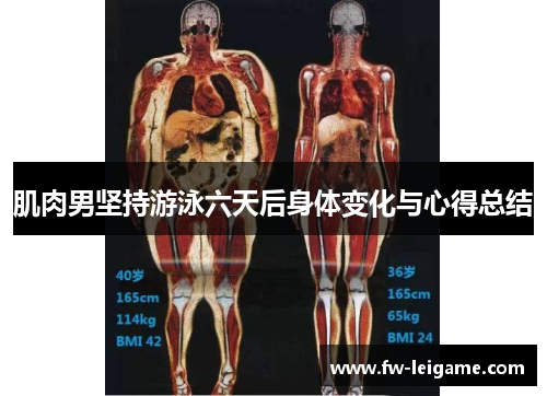 肌肉男坚持游泳六天后身体变化与心得总结