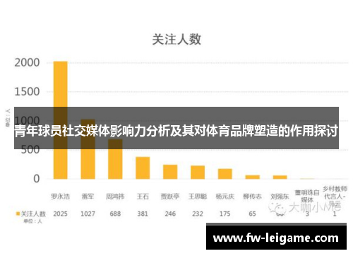 青年球员社交媒体影响力分析及其对体育品牌塑造的作用探讨 青年球员社交媒体影响力分析及其对体育品牌塑造的作用探讨